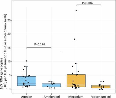 The Composition of the Microbiota in the Full-Term Fetal Gut and Amniotic Fluid: A Bovine Cesarean Section Study